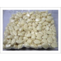 Carton Packing Fresh Peeled Garlic (180-220grains/kg)